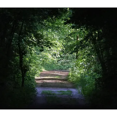 別荘 Chez Madeline Hannut