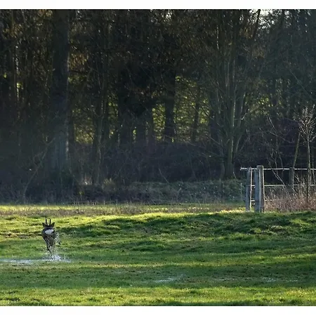 Chez Madeline 別荘 *