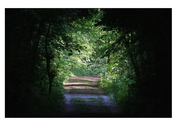 Vakantiehuis Chez Madeline Hannut