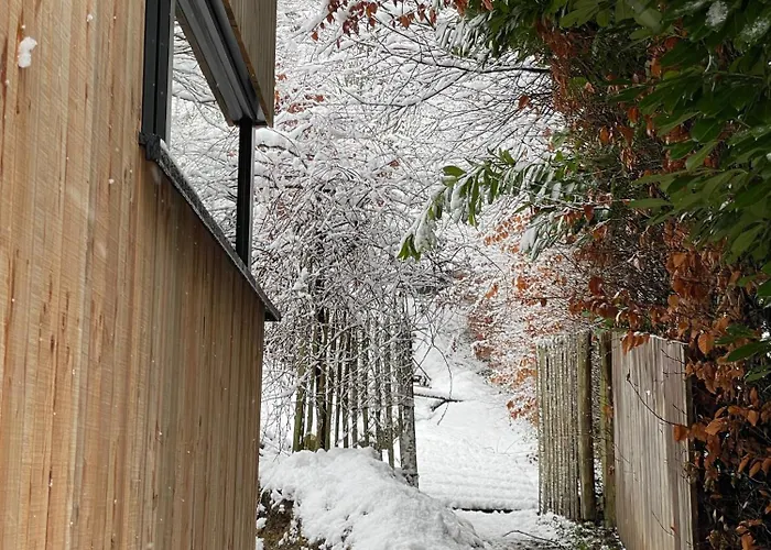 Vakantiehuis Chez Madeline Hannut